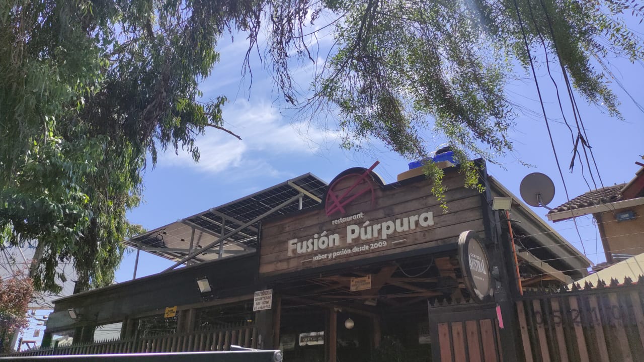 Fusión Púrpura